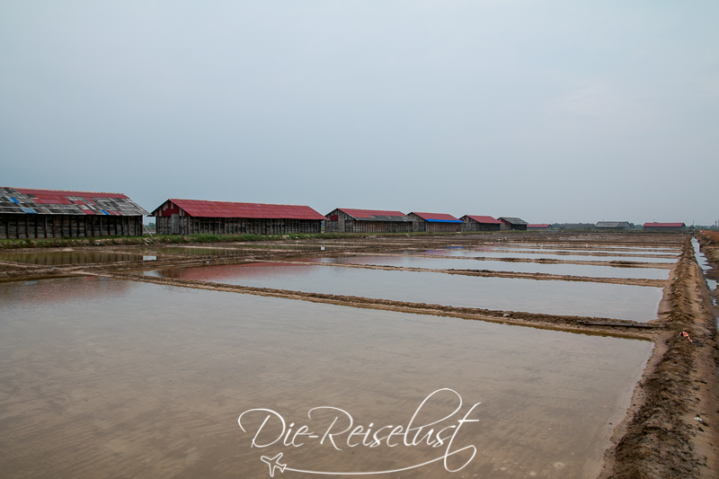 Salzfelder in Kambodscha Kampot