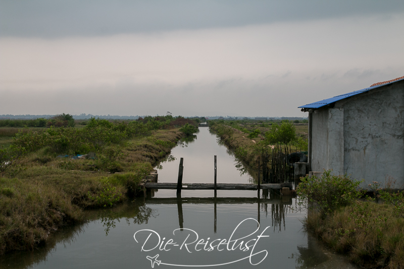 Kampot Landschaft Reisfelder